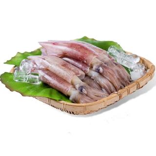 【老張鮮物】澎湖直送野生鮮活小卷 共24-36尾(300g±10%/包 每包約4-6隻)
