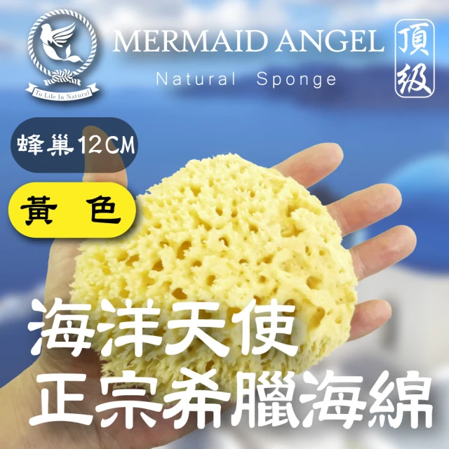 天然海綿