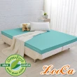 【LooCa】頂級12cm防蚊+防蹣+超透氣記憶床墊(單人3尺)