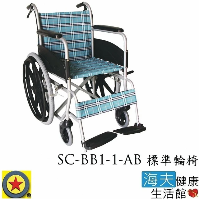 【海夫健康生活館】輪昇 特製推車 未滅菌 輪昇 通用型 輪椅(SC-BB1-1-AB)