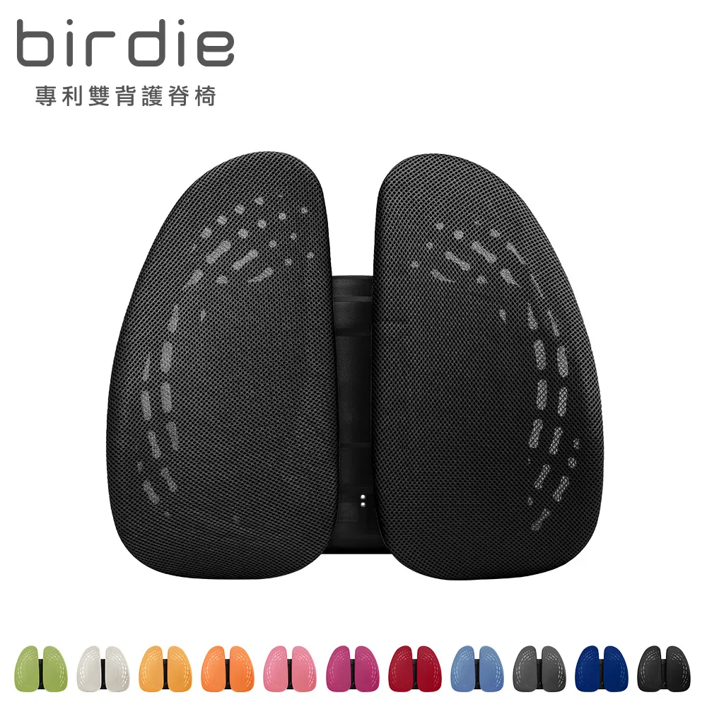 【Birdie】德國專利雙背護脊墊/辦公坐椅護腰墊/汽車靠墊(多色可選)