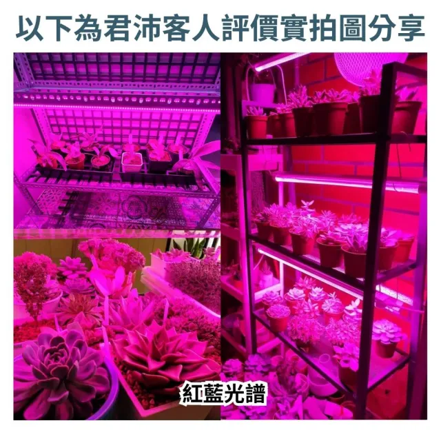 【JIUNPEY 君沛】2呎 25W 紅藍光譜植物燈管 防水型雙排燈芯設計(植物生長燈 三防燈)