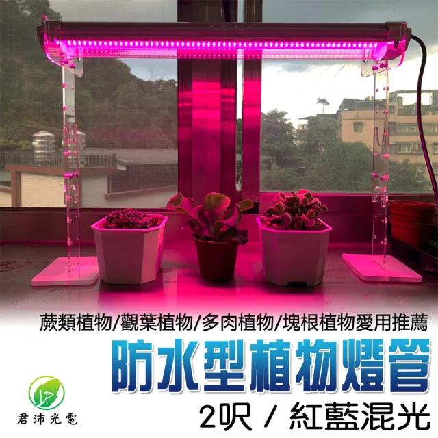 【JIUNPEY 君沛】2呎 25W 紅藍光譜植物燈管 防水型雙排燈芯設計(植物生長燈 三防燈)