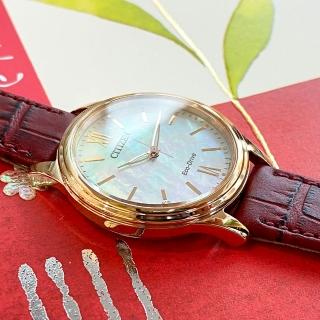【CITIZEN 星辰】Eco-Drive 光動能簡約女錶 手錶(EM0419-11D)
