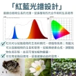 【JIUNPEY 君沛】3呎 40W 紅藍光譜植物燈管 防水型雙排燈芯設計(植物生長燈 三防燈)