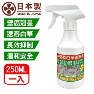 【十田修繕】壁癌白華溶解劑 250ML(壁癌 白華 乳膠漆 批土 油漆 防黴 除黴)
