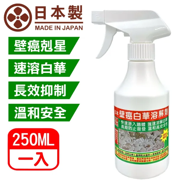 【十田修繕】壁癌白華溶解劑 250ML(壁癌 白華 乳膠漆 批土 油漆 防霉 除霉)