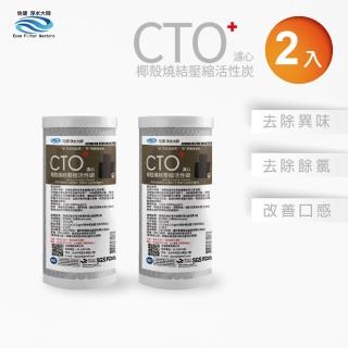【怡康】全屋過濾濾心 10吋大胖CTO燒結壓縮活性碳濾心2入(本商品不含安裝)