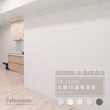 【日本Felmenon菲米諾】DIY立體切邊吸音板 60x30CM 8片裝