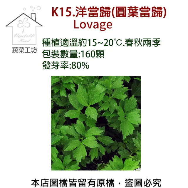 【蔬菜工坊】K15.洋當歸種子(圓葉當歸)