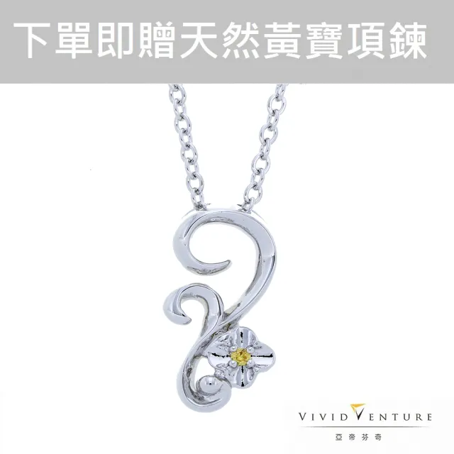 【Vividventure 亞帝芬奇】2分 天然真鑽 項鍊 心華(買一送二 超值回饋組)