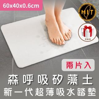 【森呼吸矽藻土】新一代超薄吸水踏墊-礦灰禮盒版XL-2片入(吸水 踏墊 超薄 臺灣製 珪藻土)
