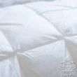 【AGAPE 亞加．貝】買一送一《珍珠立體羽絲絨枕》MIT台灣製造 超Q彈透氣 柔軟舒適(百貨專櫃同款)