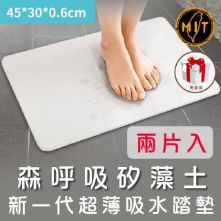 【森呼吸矽藻土】新一代超薄吸水踏墊-精緻版/二入組(超吸水 踏墊 抗菌 超薄 小尺寸)