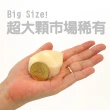 【築地一番鮮】北海道原裝刺身用大顆M生食干貝2盒(1kg/約26-30顆/盒)