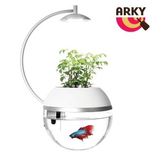 【ARKY】香草與魚Herb&Fish Ｘ