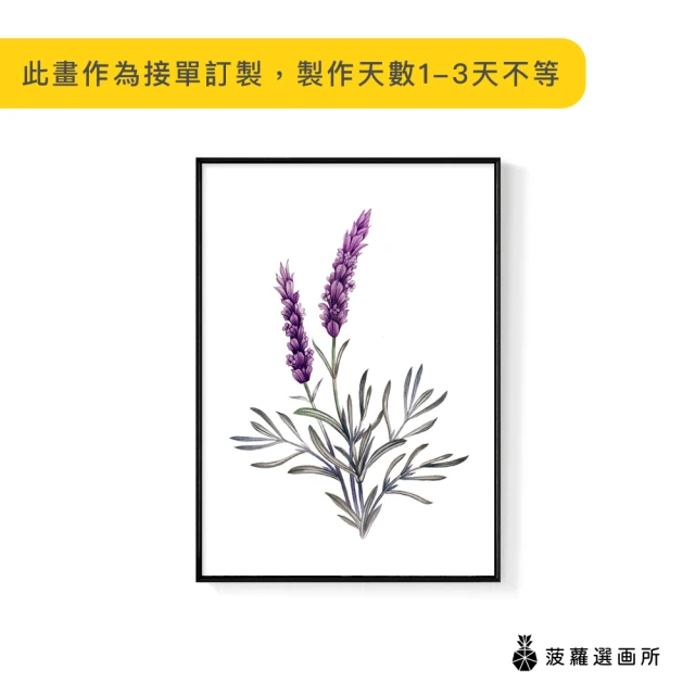 菠蘿選畫所 紫色浪漫薰衣草-30x40cm(畫/花草植物/盆栽/臥室掛畫/家居佈置/手繪裝飾)