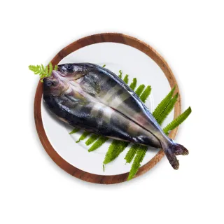 【鮮綠生活】北海道花魚一夜干大(250g-300g±10%/包 共12包)