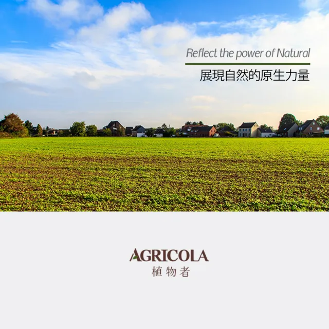 【AGRICOLA 植物者】舒涼按摩油100ml(居家SPA按摩精油 純植物精油複方)