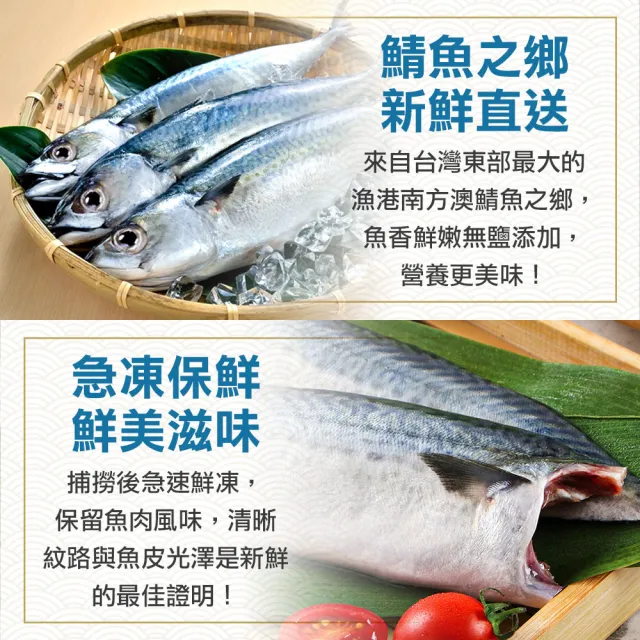 【享吃海鮮】南方澳鮮撈無鹽鯖魚 20片組(2片裝/110-120g/片)
