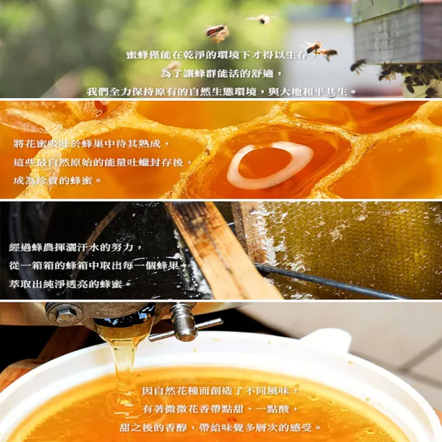 【蜂蜜世界】台灣龍眼蜂蜜310gX1瓶