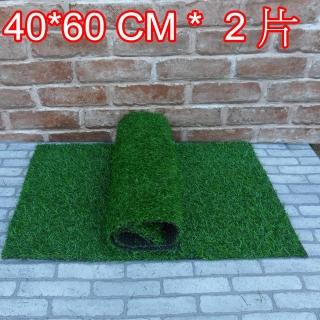 【園藝世界】人造草皮-40*60 公分*2入