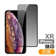 iPhone XR 透明防窺9H玻璃鋼化膜手機保護貼(買保護貼2入 送XR手機殼)