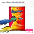 【海豐飼料】A.M.慈鯛揚色免疫飼料中粒1KG(適合一般熱帶魚、血鸚鵡及慈鯛科食用)