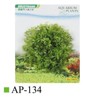 水族魚缸裝飾品 模擬水草 3吋圓(多款造型水草)