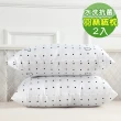 【Green  綠的寢飾】3D透氣可水洗纖維枕(買一送一)
