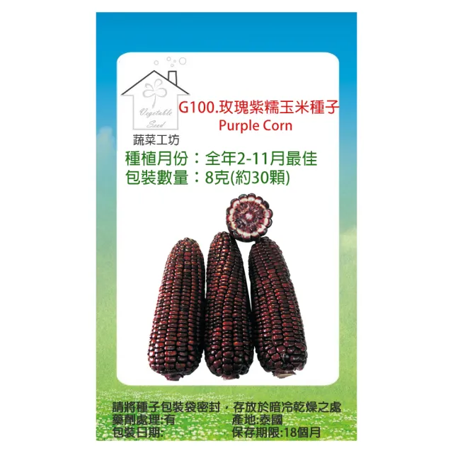 【蔬菜工坊】G100.玫瑰紫糯玉米種子(8克-約30顆)