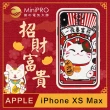 【MINIPRO】浮雕設計-防護手機殼(Apple iPhone-XS Max 6.5吋)