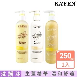 【KAFEN 卡氛】生薑系列 洗髮精/護髮素/沐浴乳 250ml