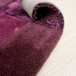 【山德力】ESPRIT 地毯 紫淵 170X240CM(紫色 客廳 書房  起居室 生活美學)