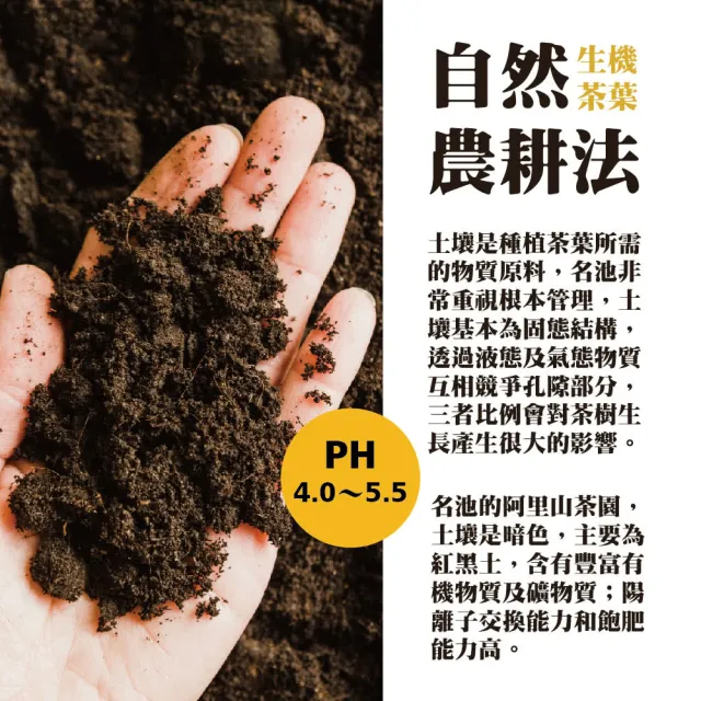 【名池茶業】梅香馥漫阿里山高冷茶葉75gx12包(共1.5斤)