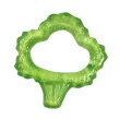 【美國 GREEN SPROUTS】玩具固齒器(黃西洋梨、橘南瓜、綠花椰菜、綠蘋果、紫葡萄)