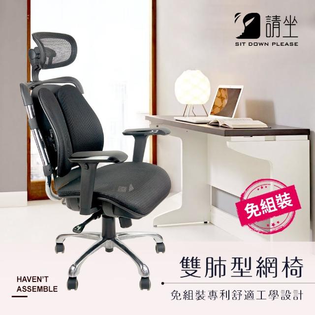 【請坐】免組裝MIT 雙肺型工學功能網椅/辦公椅/電腦椅/電競椅 M960-SD(雙肺型 電競椅 辦公椅 電腦椅)