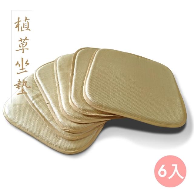【范登伯格】植草雙面編織透氣單人坐墊-六入組(50x50cm)