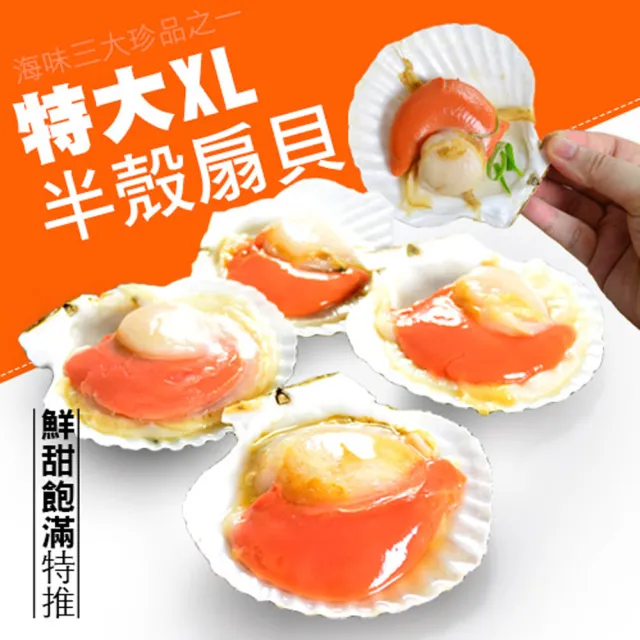 【大食怪】鮮美半殼鮮凍大扇貝3包(500g/包)