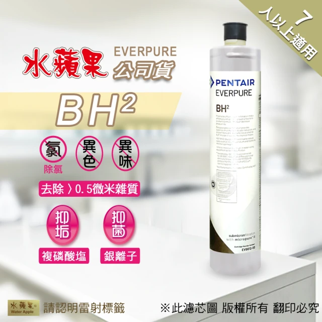 水蘋果 Everpure BH2 濾心(水蘋果公司貨)