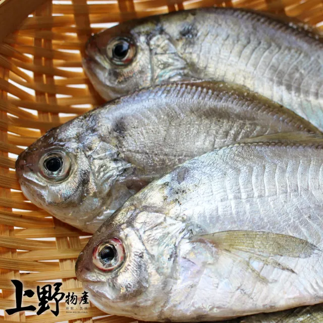 【上野物產】20隻 越南進口 野生肉魚(75g±10%/片 海鮮/魚)