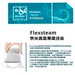 【Flexwarm】飛樂思小遊龍奈米蒸汽熨燙機(9908)