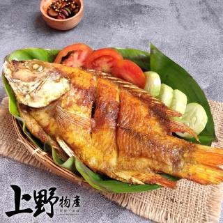 【上野物產】8隻 臺灣產 嚴選鯛魚 一整隻(海鮮/魚)