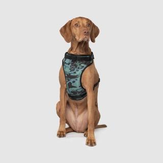 【CANADA POOCH】安全第一胸背帶 S號(THE EVERYTHING HARNESS S)