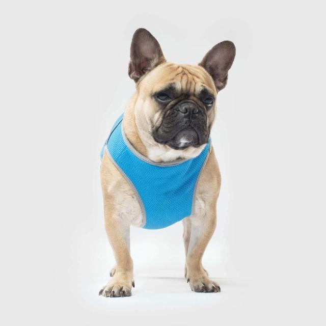 【CANADA POOCH】寵物背心/ 涼感背心-12(CHILL SEEKER COOLING VEST  SO CHILL-12)