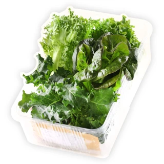 【會呼吸的菜】綜合水耕鮮菜4盒+贈沙拉醬4包(150g±5%/盒)