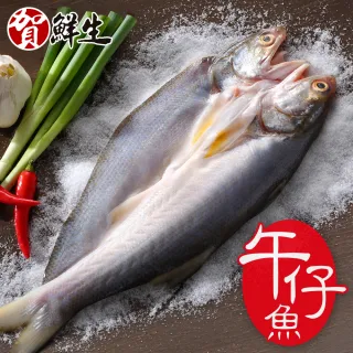 【賀鮮生】薄鹽午仔魚一夜干5尾(210g/尾)