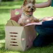 【crazypaws 瘋狂爪子】V2 ECO環保寵物外出摺疊提箱-L號(寵物旅行箱/寵物包/寵物提箱)