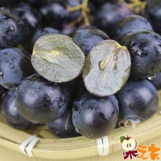 【果之家】苗栗卓蘭特級巨峰葡萄4.5臺斤裝