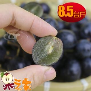 【果之家】苗栗卓蘭特級巨峰葡萄8.5臺斤裝